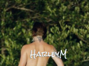 HarleyM