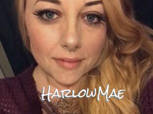 Harlow_Mae
