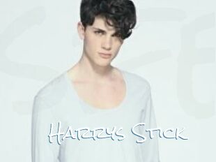 Harrys_Stick
