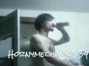 Hornymechanic334
