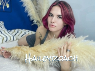 Haileyroach