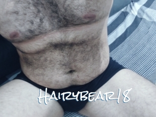 Hairybear18