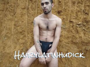 Hairylatinhudick