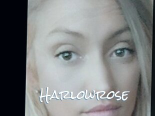 Harlowrose