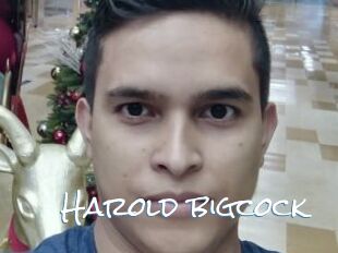 Harold_bigcock