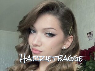 Harrietbagge