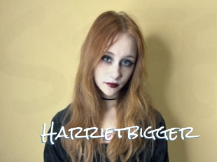 Harrietbigger