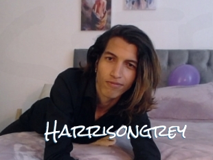 Harrisongrey