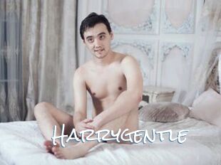 Harrygentle