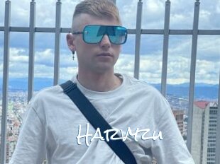 Harvyzu