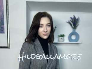Hildgallamore