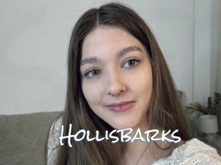 Hollisbarks