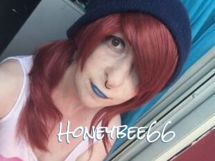 Honeybee66