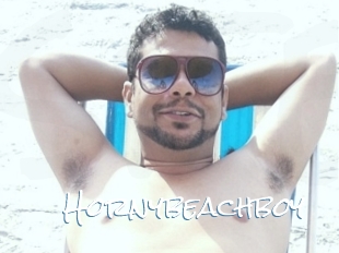 Hornybeachboy