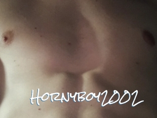 Hornyboy2002