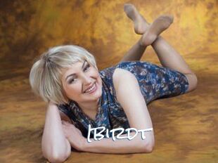 Ibirdt