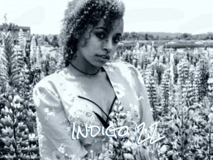 Indigo_22
