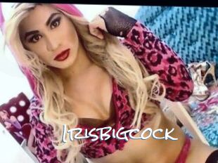 Irisbigcock