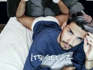 Its_gelviz