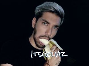 Itsgelviz
