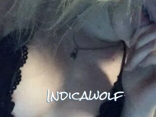 Indicawolf