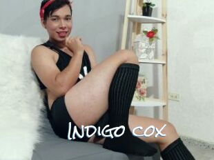 Indigo_cox