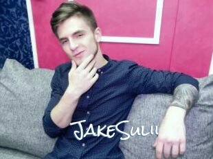 JakeSulii