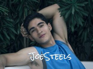 JoeSteels