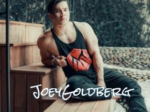 JoeyGoldberg