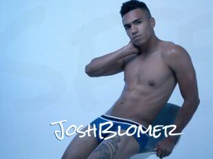 JoshBlomer
