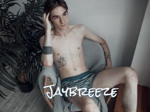 Jaybreeze