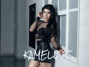 KAMELIA_TS