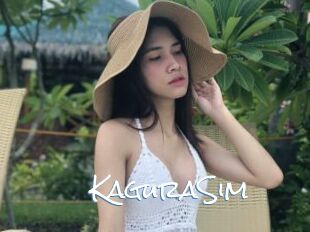 KaguraSim
