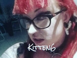 Kitten6