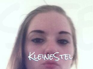 KleineStel