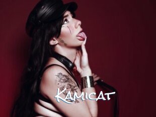 Kamicat