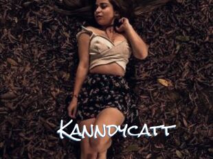 Kanndycatt