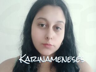 Karinameneses