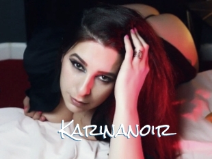 Karinanoir