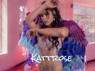 Kattrose