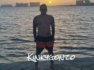 Kinkygonzo