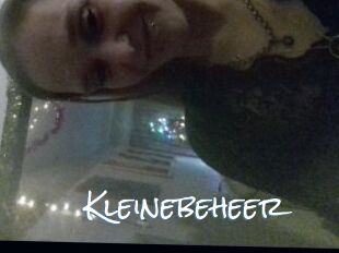 Kleinebeheer