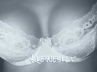 Kleineslet