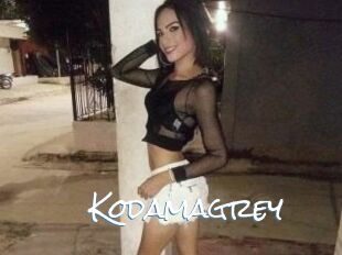 Kodamagrey