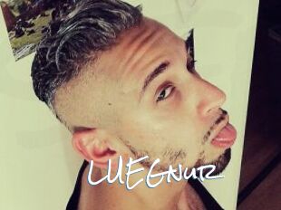 LUEGnur