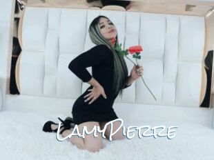 LamyPierre