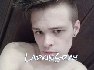 LapkinGray