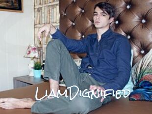 LiamDignified