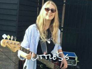LittleSis