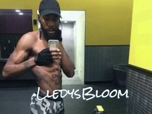 Lledys_Bloom